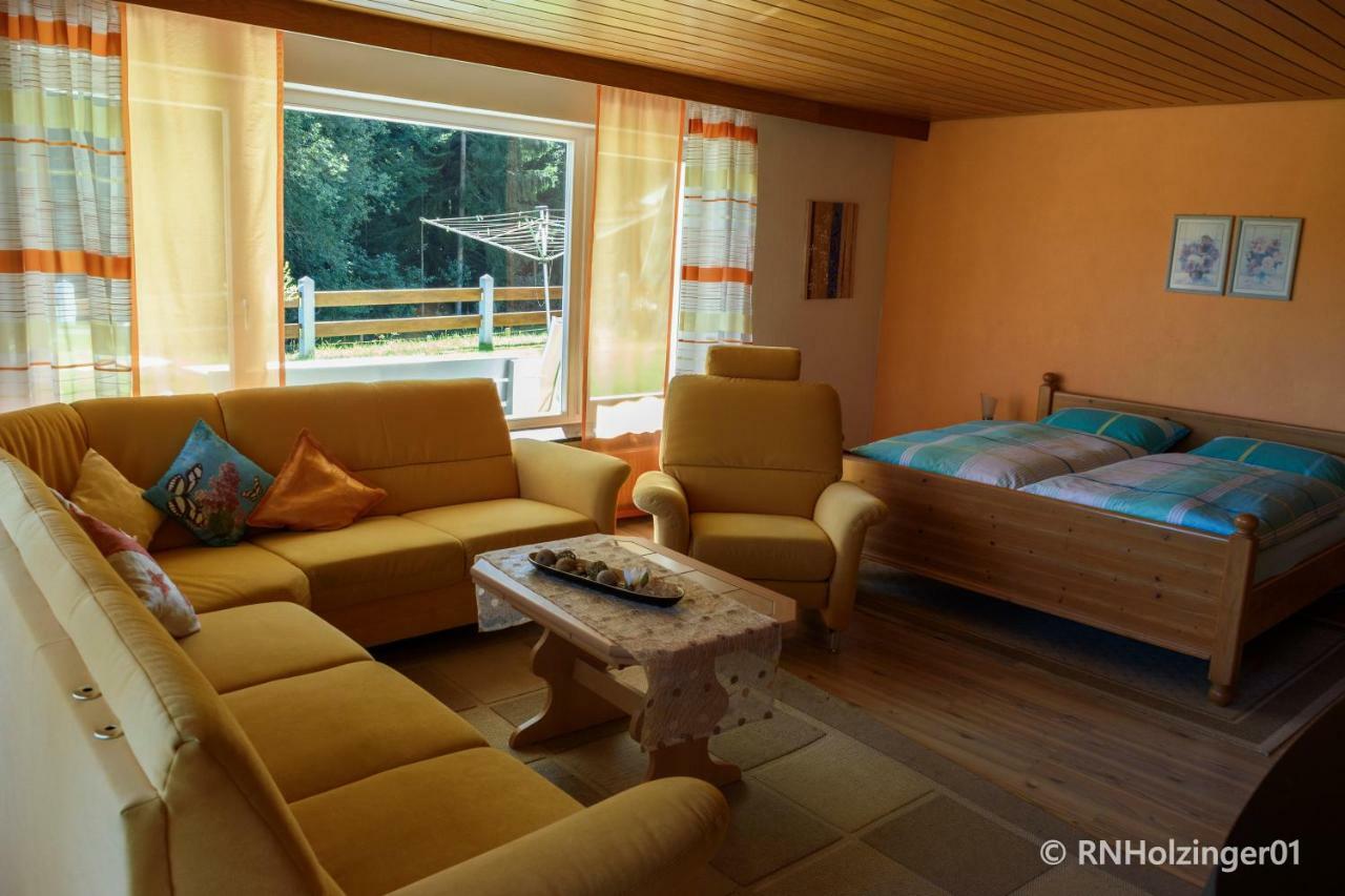 Ferienwohnung Holzinger 豪岑堡 外观 照片
