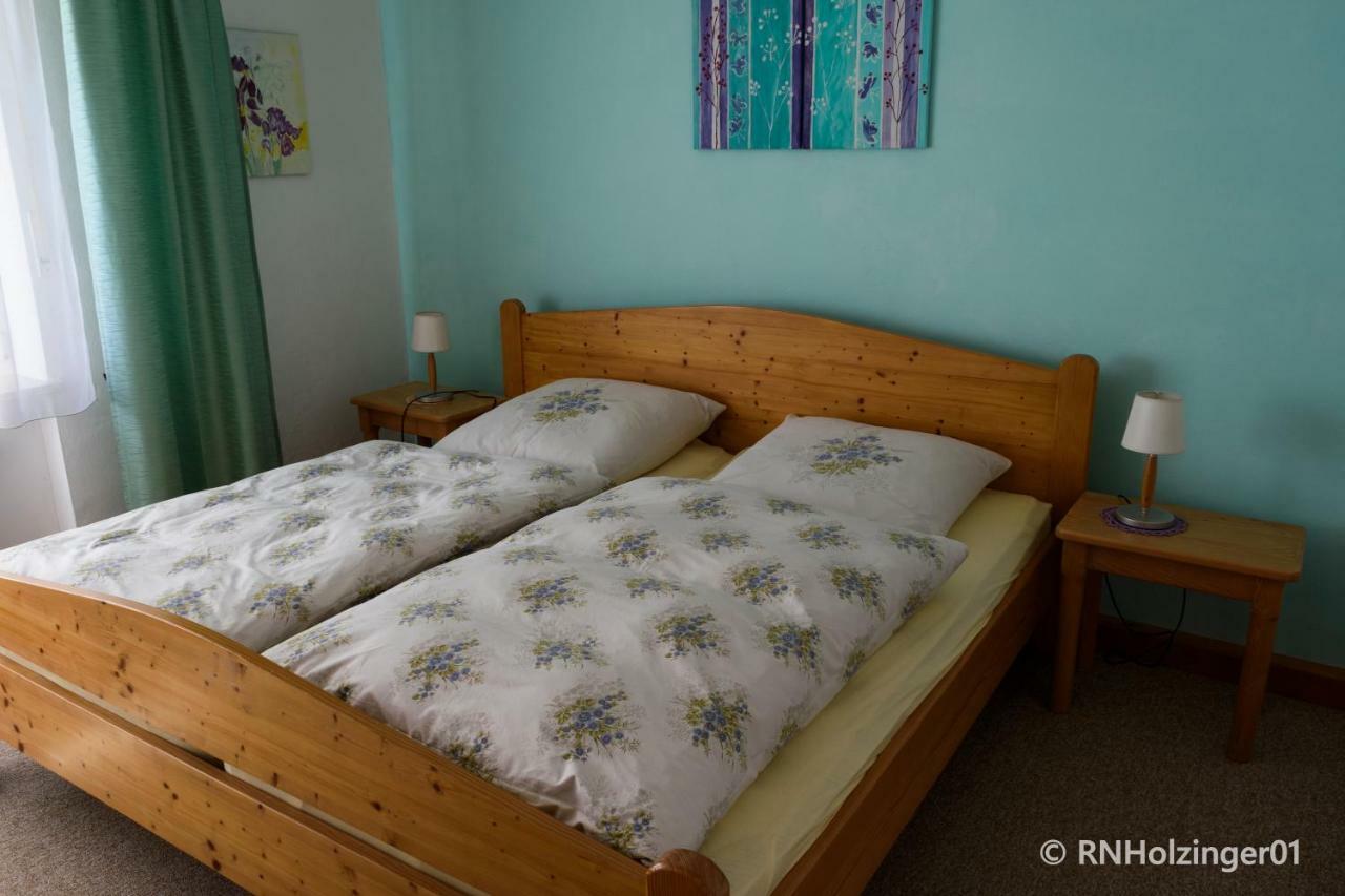 Ferienwohnung Holzinger 豪岑堡 外观 照片